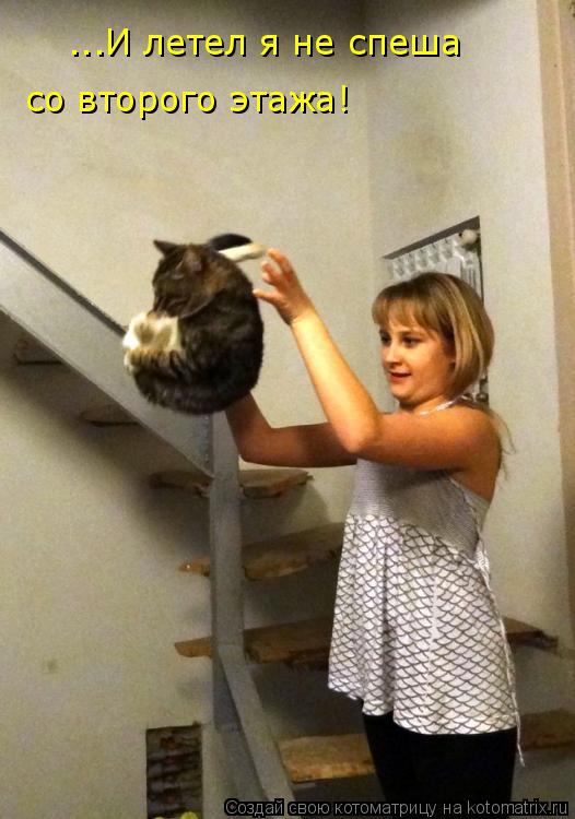 Котоматрица: ...И летел я не спеша  со второго этажа!