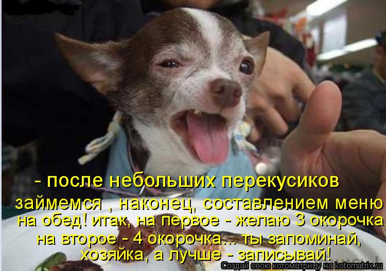 Котоматрица: - после небольших перекусиков  на обед! итак, на первое - желаю 3 окорочка,   займемся , наконец, составлением меню на второе - 4 окорочка... ты за