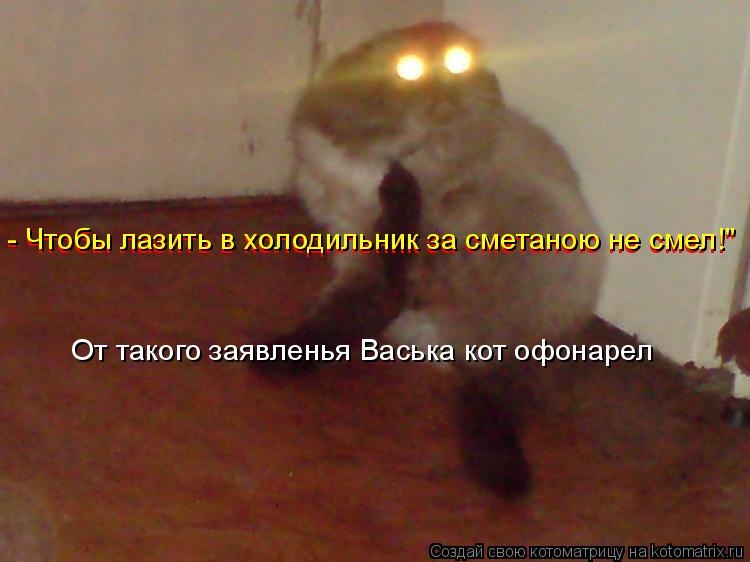 - Чтобы лазить в холодильник за сметаною не смел!" - Чтобы лазить в холодильник за сметаною не смел!"... Котоматрица: - Чтобы лазить в холодильник за сметаною не смел!" - Чтобы лазить в холодильник за сметаною не смел!" От такого заявленья Васька кот офонарел