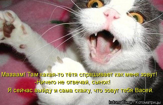 Котоматрица: Маааам! Там какая-то тётя спрашивает как меня зовут! -Ничего не отвечай, сынок! Я сейчас выйду и сама скажу, что зовут тебя Васей.