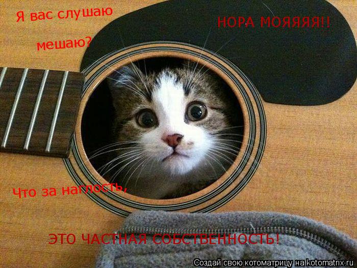 Котоматрица: Я вас слушаю мешаю? Что за наглость, ЭТО ЧАСТНАЯ СОБСТВЕННОСТЬ! НОРА МОЯЯЯЯ!!
