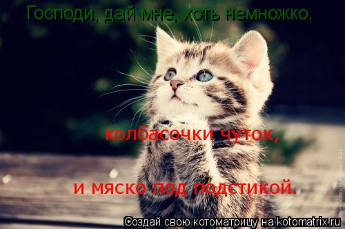 Котоматрица: Господи, дай мне, хоть немножко, колбасочки чуток, и мяско под подстикой.