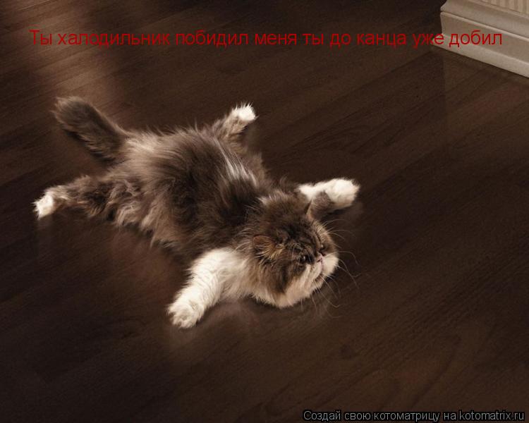 Котоматрица: Ты халодильник побидил меня ты до канца уже добил