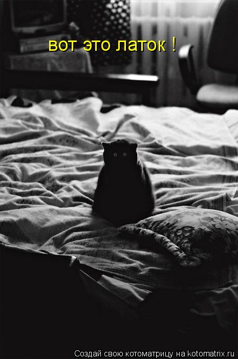 Котоматрица: вот это латок !