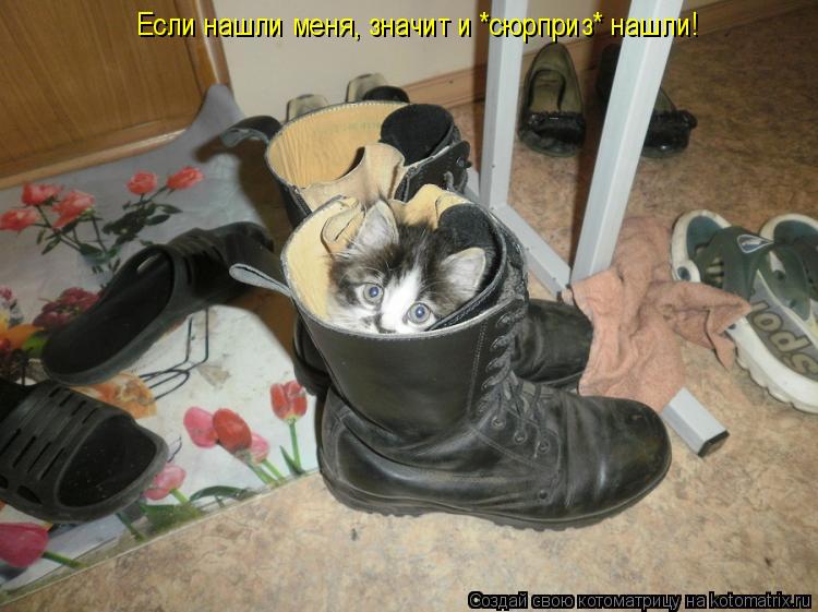Котоматрица: Если нашли меня, значит и *сюрприз* нашли!