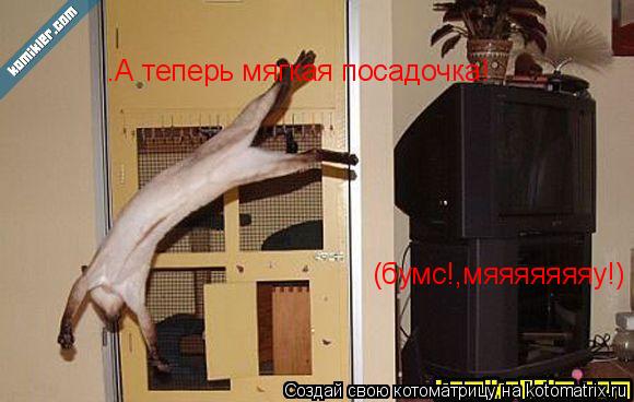 Котоматрица: —А теперь мягкая посадочка! (бумс!,мяяяяяяяу!)