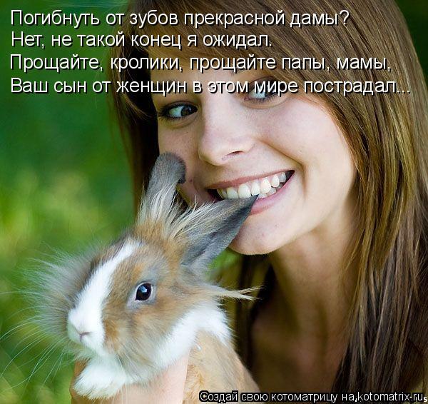 Котоматрица: Погибнуть от зубов прекрасной дамы? Нет, не такой конец я ожидал. Прощайте, кролики, прощайте папы, мамы, Ваш сын от женщин в этом мире постра