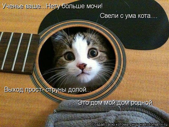 Ученье ваше...Нету больше мочи! Свели с ума кота.... Выход прост- струны долой... Это дом мой,дом род... Котоматрица: Ученье ваше...Нету больше мочи! Свели с ума кота.... Выход прост- струны долой... Это дом мой,дом родной.
