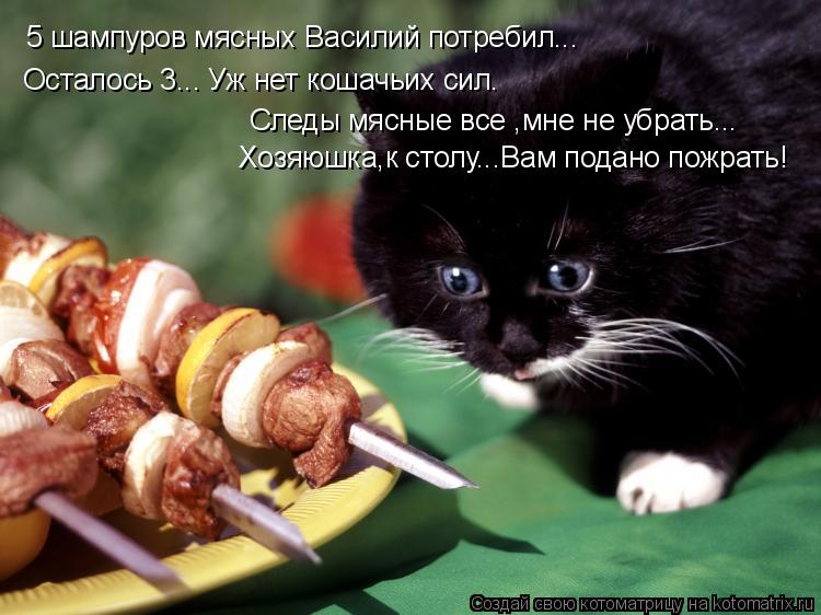 5 шампуров мясных Василий потребил... Осталось 3... Уж нет кошачьих сил. Следы мясные все ,мне не убр... Котоматрица: 5 шампуров мясных Василий потребил... Осталось 3... Уж нет кошачьих сил. Следы мясные все ,мне не убрать... Хозяюшка,к столу...Вам подано пожрать!