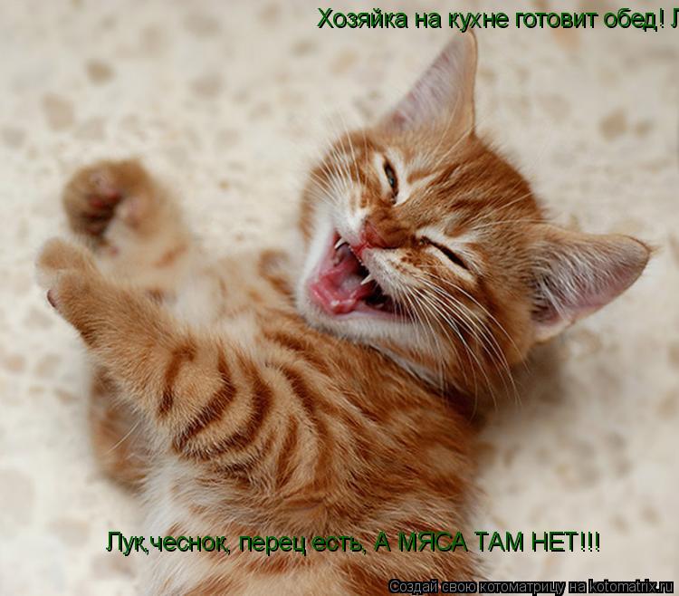 Котоматрица: Хозяйка на кухне готовит обед! Лук,чеснок, перец есть, А МЯСА ТАМ НЕТ!!! Лук,чеснок, перец есть, А МЯСА ТАМ НЕТ!!!