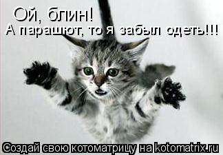 Котоматрица: Ой, блин! А парашют, то я забыл одеть!!!