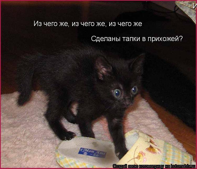 Котоматрица: Из чего же, из чего же, из чего же Из чего же, из чего же, из чего же Сделаны тапки в прихожей?