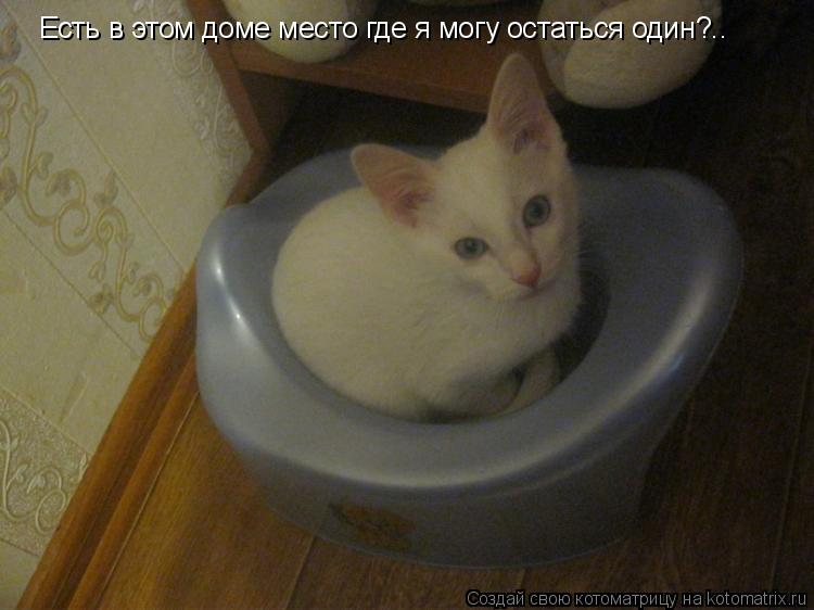 Котоматрица: Есть в этом доме место где я могу остаться один?..