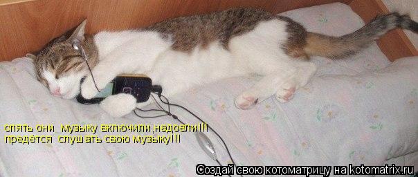 Котоматрица: опять они  музыку включили,надоели!!! предётся  слушать свою музыку!!!