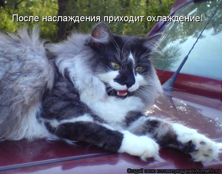 Котоматрица: После наслаждения приходит охлаждение!