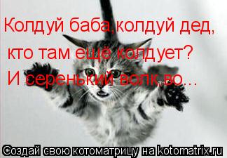 Котоматрица: Колдуй баба,колдуй дед, кто там ещё колдует? И серенький волк,во...