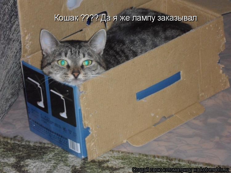 Котоматрица: Кошак ???? Да я же лампу заказывал