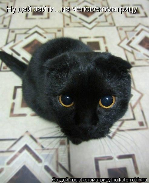 Котоматрица: Ну дай зайти...на человекоматрицу