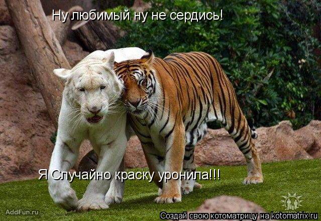 Котоматрица: Ну любимый ну не сердись! Я Случайно краску уронила!!!