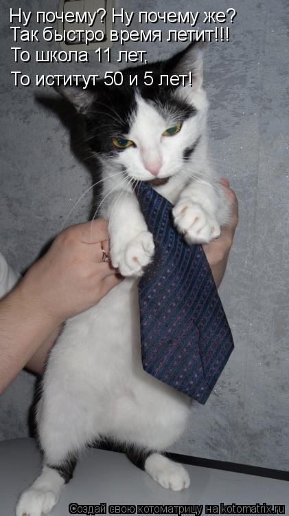 Котоматрица: Ну почему? Ну почему же? Так быстро время летит!!! То школа 11 лет, То иститут 50 и 5 лет!