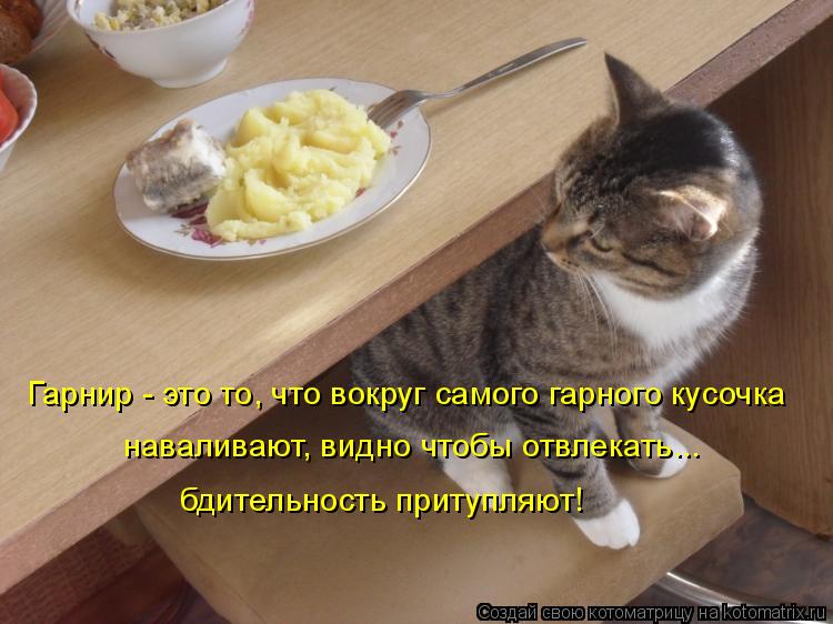 Котоматрица: Гарнир - это то, что вокруг самого гарного кусочка наваливают, видно чтобы отвлекать... бдительность притупляют!