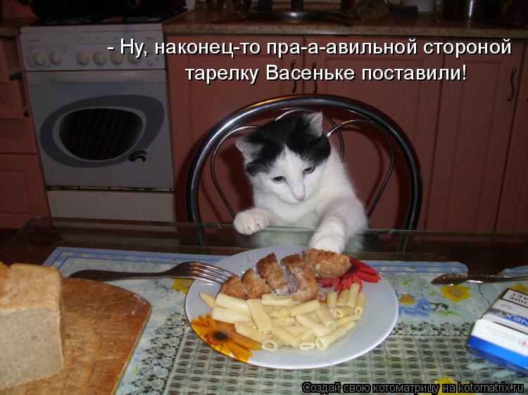 - Ну, наконец-то пра-а-авильной стороной тарелку Васеньке поставили!... Котоматрица: - Ну, наконец-то пра-а-авильной стороной тарелку Васеньке поставили!