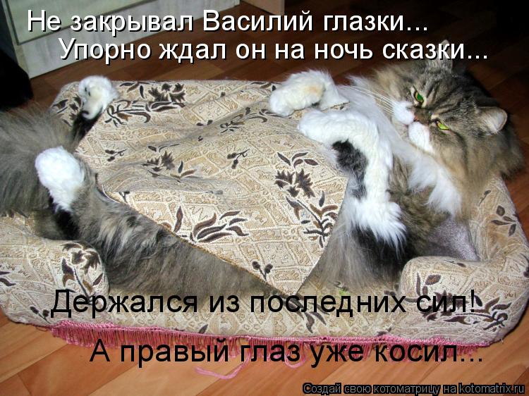 Не закрывал Василий глазки... Упорно ждал он на ночь сказки... Держался из последних сил! А правый гл... Котоматрица: Не закрывал Василий глазки... Упорно ждал он на ночь сказки... Держался из последних сил! А правый глаз уже косил...
