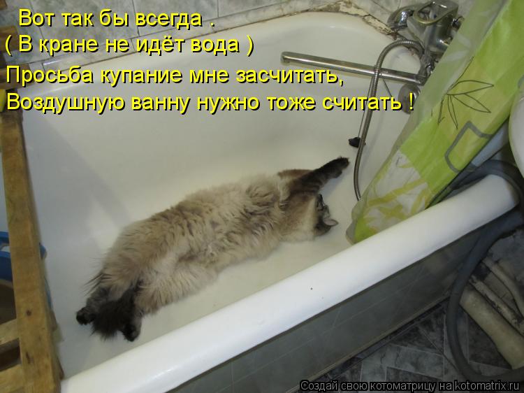 Котоматрица: Вот так бы всегда . ( В кране не идёт вода ) Просьба купание мне засчитать, Воздушную ванну нужно тоже считать !