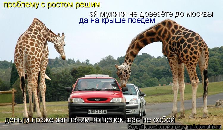Котоматрица: эй мужики не довезёте до москвы деньги позже заплатим кошелёк щас не собой проблему с ростом решим да на крыше поедем