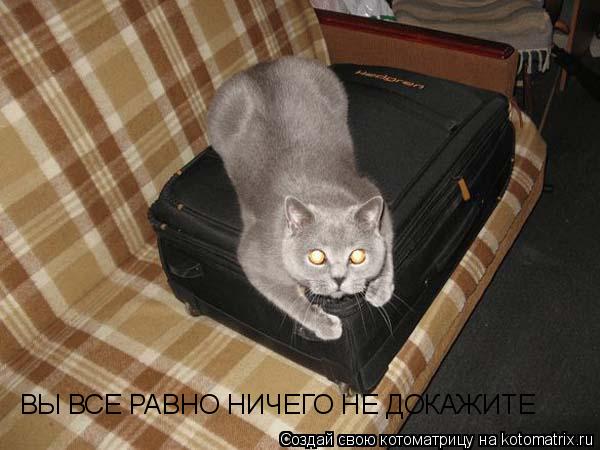 Котоматрица: ВЫ ВСЕ РАВНО НИЧЕГО НЕ ДОКАЖИТЕ