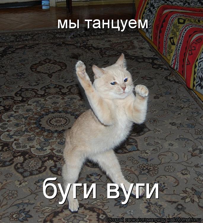 Котоматрица: мы танцуем буги вуги