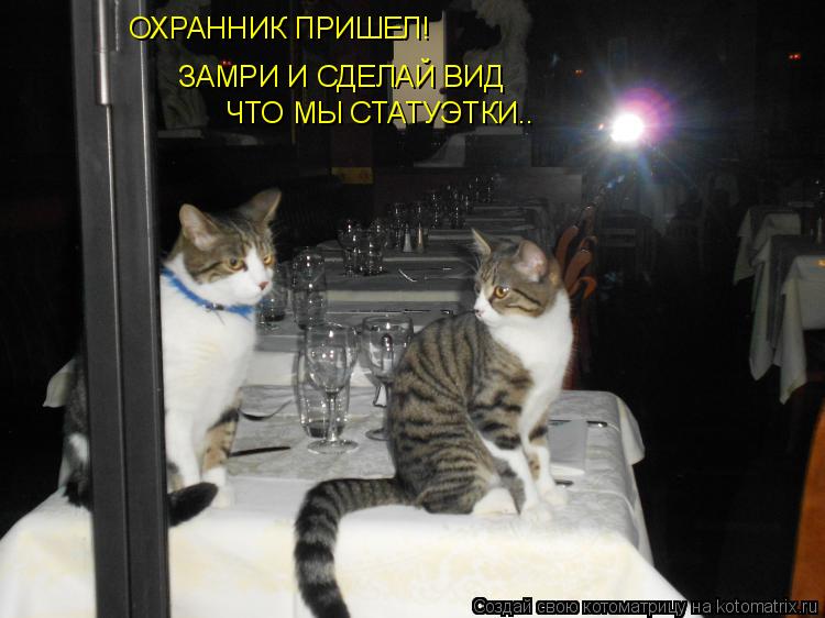 Котоматрица: ОХРАННИК ПРИШЕЛ! ЗАМРИ И СДЕЛАЙ ВИД ЧТО МЫ СТАТУЭТКИ..