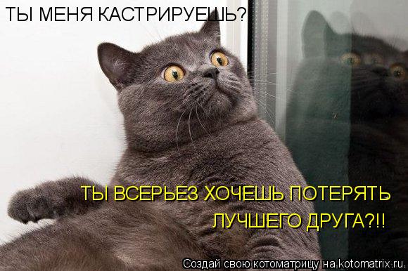 Котоматрица: ТЫ МЕНЯ КАСТРИРУЕШЬ? ТЫ ВСЕРЬЕЗ ХОЧЕШЬ ПОТЕРЯТЬ ЛУЧШЕГО ДРУГА?!!