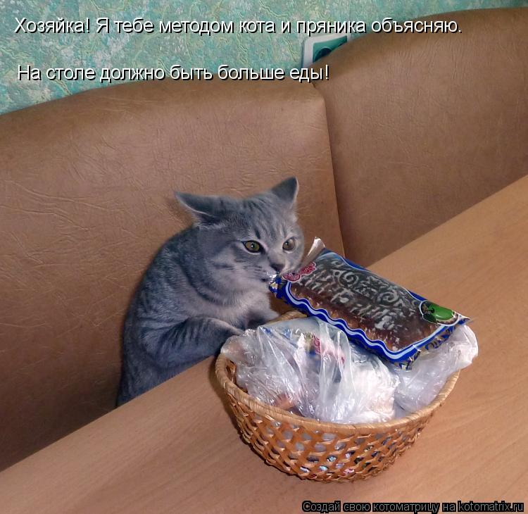 Котоматрица: Хозяйка! Я тебе методом кота и пряника объясняю. На столе должно быть больше еды!