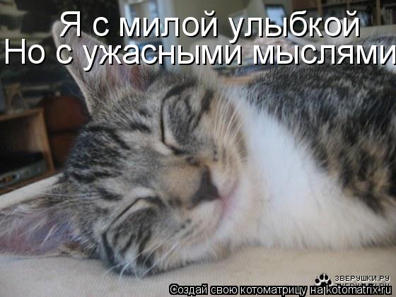 Котоматрица: Я с милой улыбкой Но с ужасными мыслями