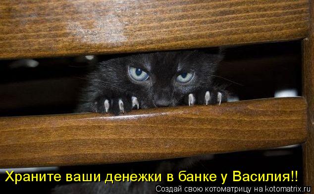 Котоматрица: Храните ваши денежки в банке у Василия!!