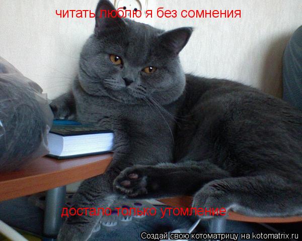 Котоматрица: читать люблю я без сомнения  достало только утомление .