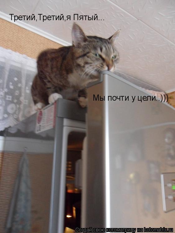 Котоматрица: Третий,Третий,я Пятый... Мы почти у цели..)))