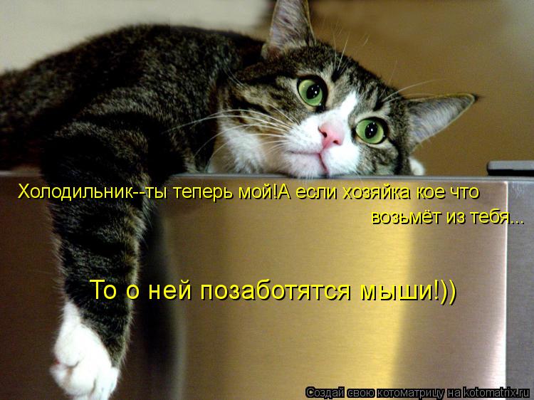 Котоматрица: Холодильник--ты теперь мой!А если хозяйка кое что возьмёт из тебя... То о ней позаботятся мыши!))
