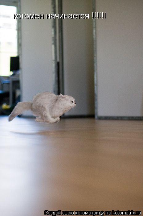 Котоматрица: котомен начинается !!!!!!