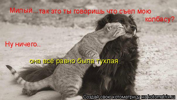 Котоматрица: Милый... так это ты говоришь что съел мою колбасу? Ну ничего.. она всё равно была тухлая