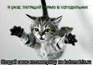 Котоматрица: я ужас летящий прямо в холодильник