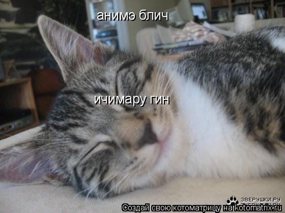 Котоматрица: анимэ блич  ичимару гин