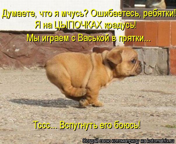 Думаете, что я мчусь? Ошибаетесь, ребятки! Я на ЦЫПОЧКАХ крадусь! Мы играем с Васькой в прятки... Тсс... Котоматрица: Думаете, что я мчусь? Ошибаетесь, ребятки! Я на ЦЫПОЧКАХ крадусь! Мы играем с Васькой в прятки... Тссс... Вспугнуть его боюсь!