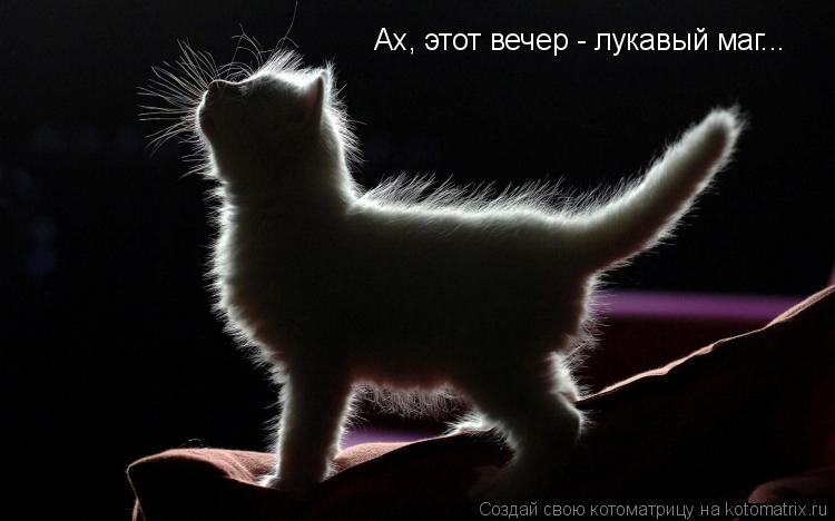 Котоматрица: Ах, этот вечер - лукавый маг...
