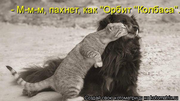 Котоматрица: - М-м-м, пахнет, как "Орбит "Колбаса".