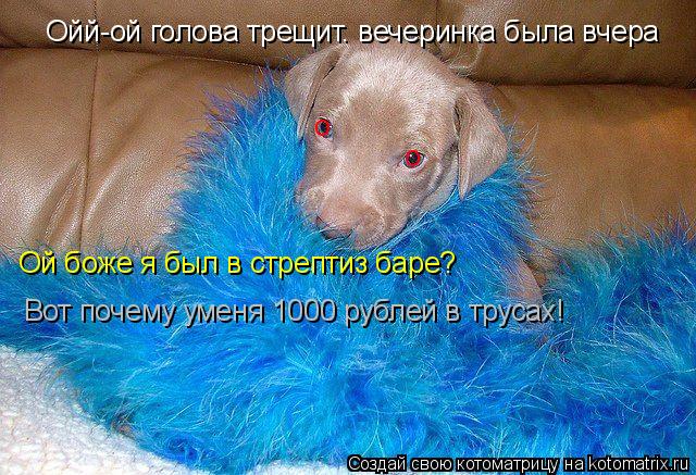 Котоматрица: Ойй-ой голова трещит. вечеринка была вчера о о Ой боже я был в стрептиз баре? Вот почему уменя 1000 рублей в трусах!