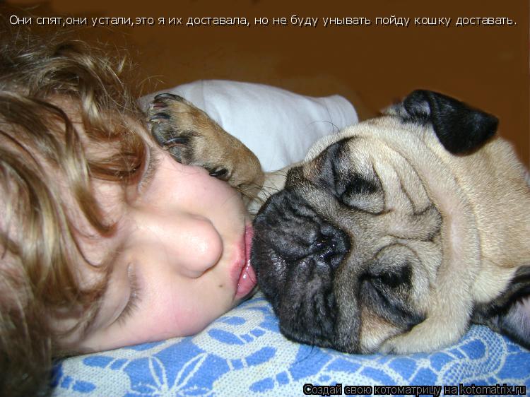 Котоматрица: Они спят,они устали,это я их доставала, но не буду унывать пойду кошку доставать.