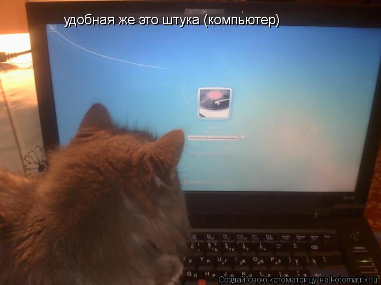 Котоматрица: удобная же это штука (компьютер)