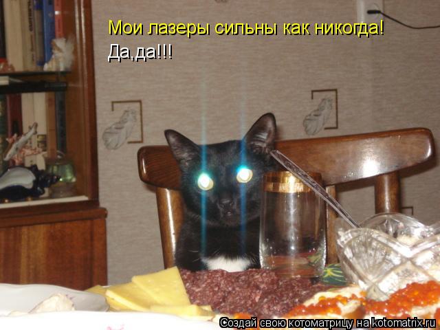 Котоматрица: Мои лазеры сильны как никогда! Да,да!!!